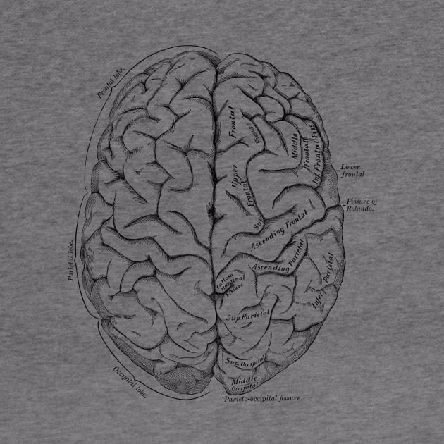 Human Body - Brain by be yourself. design